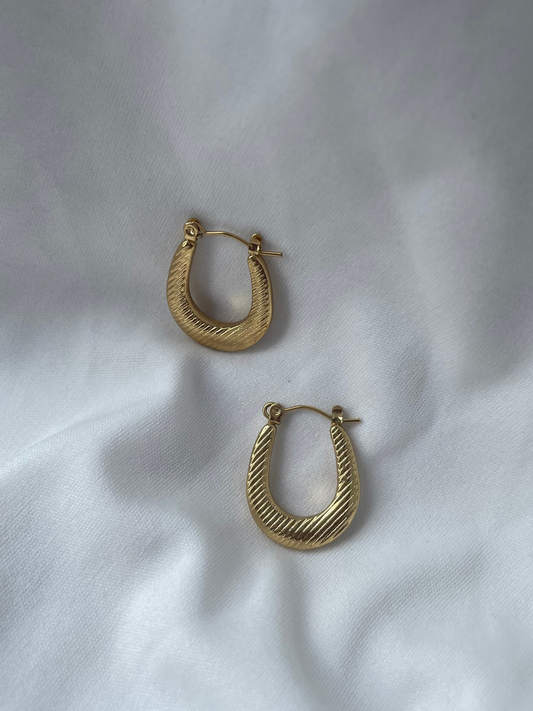 Subtle Shine Hoops