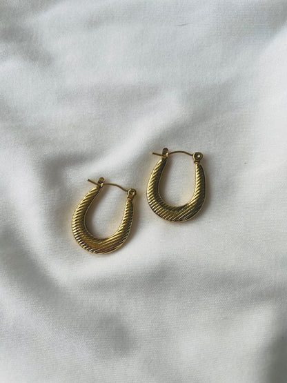 Subtle Shine Hoops