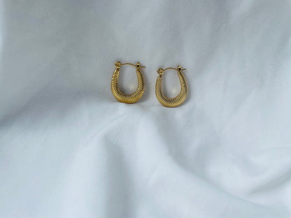 Subtle Shine Hoops