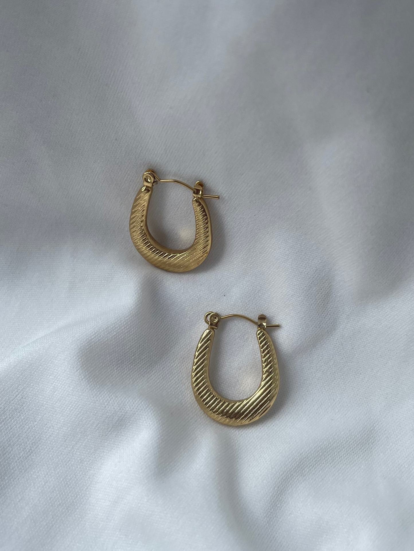 Subtle Shine Hoops